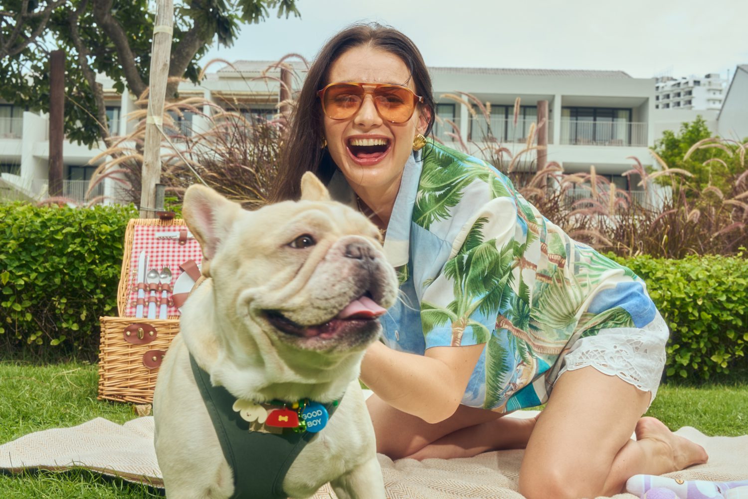 Furry Friendly Stay Free